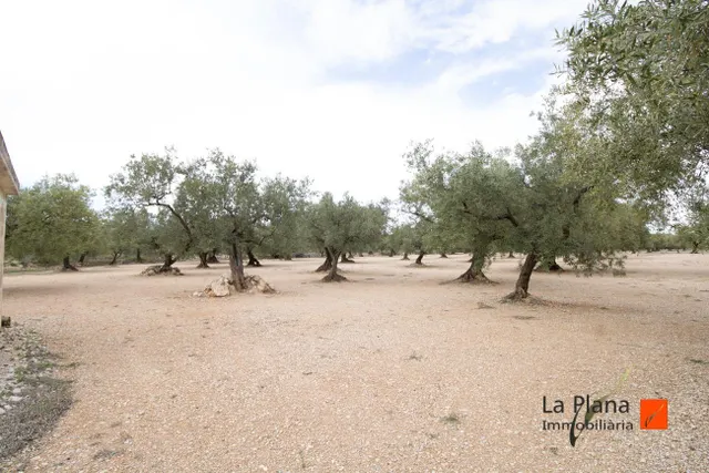 FINCA "ROSSEC" EN VENTA EN GODALL (TARRAGONA) - foto 4