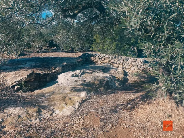 FINCA RUSTICA EN VENTA EN LA RAPITA (TARRAGONA) - foto 2