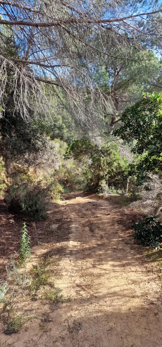 RUSTICA EN SANT CEBRIÀ DE VALLALTA - foto 2