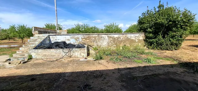 Finca Rústica en Utrera – 25.757 m2 con Almendros - foto 4
