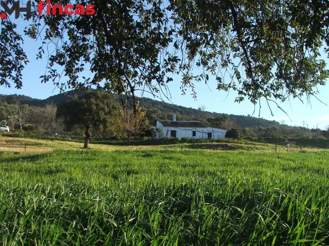 🌿🏡 ¡Impresionante Finca en Venta en El Pedroso, Sevilla! 🐑🌳 - foto 3
