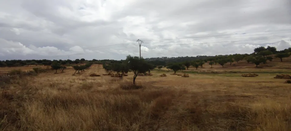 Finca rústica de 61900 m2