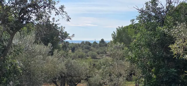 Finca rústica con olivos y vistas al mar, a solo 3 km de la  - foto 2