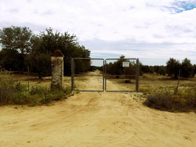 SE VENDE FINCA DE OLIVAR Y TIERRA CALMA VILLAMANRIQUE. 6 HAS - foto 4