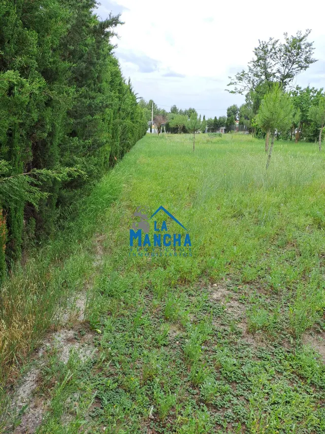 INMOBILIARIA LA MANCHA VENDE TERRENO RUSTICO ZONA CARRETERA  - foto 4