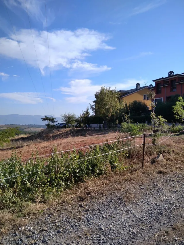 VENTA FINCA URBANA EN CAMPELO - foto 4