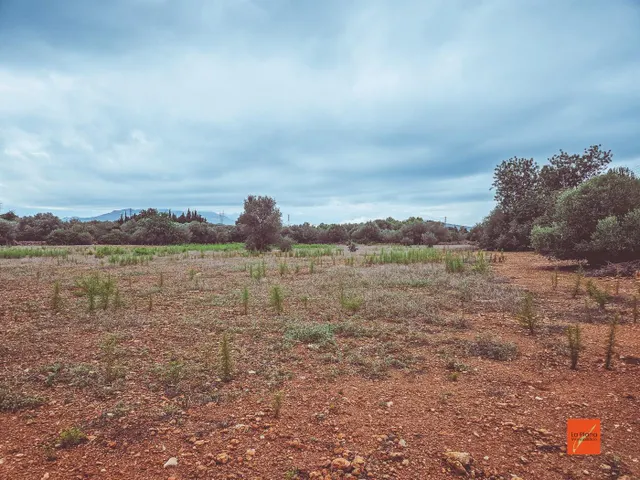 FINCA RUSTICA EN VENTA EN SANTA BARBARA (TARRAGONA) - foto 3