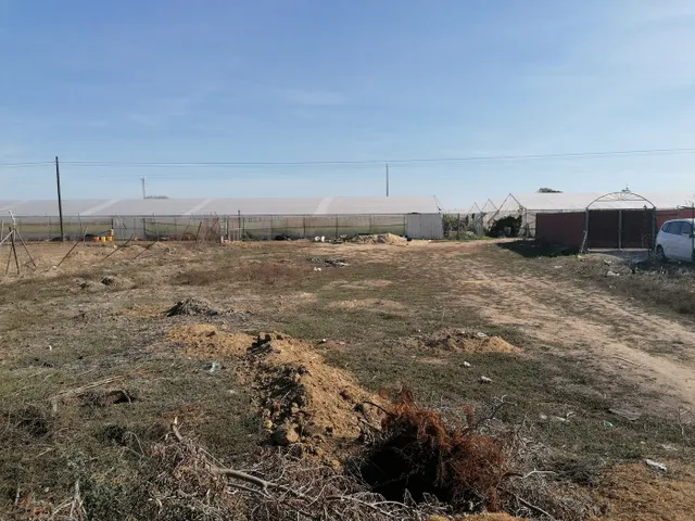 FINCA RUSTICA DE CASI 1.000 M2 CON AGUA DE RED. - foto 4