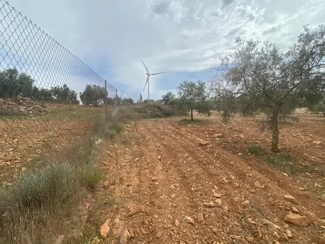 Finca de olivos cerca de Padul - foto 4