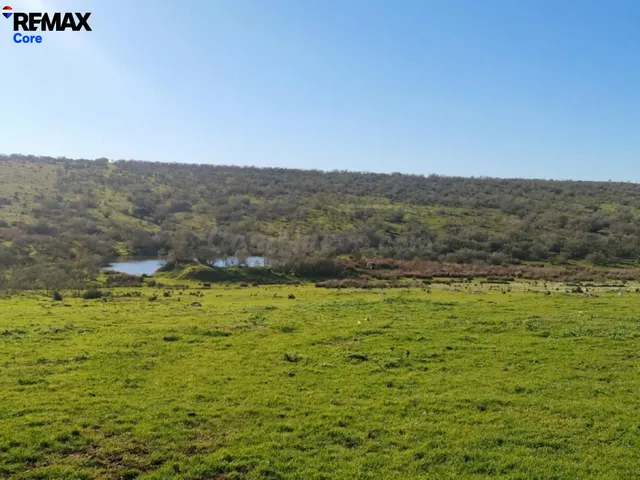 Finca Ganadera en Venta: Oportunidad de Inversión - foto 2