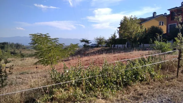 VENTA FINCA URBANA EN CAMPELO - foto 2