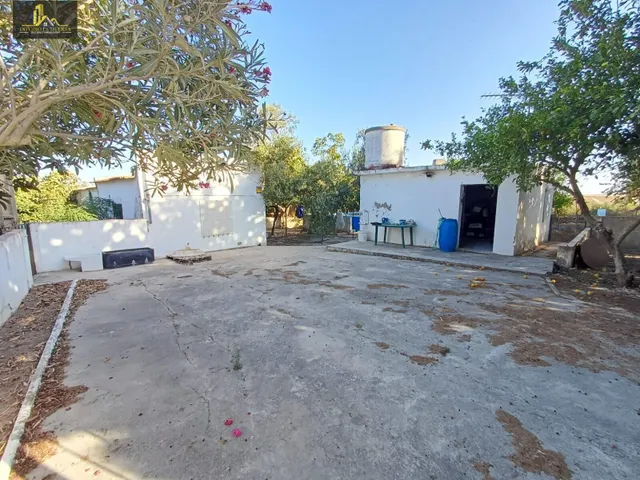 PARCELA DE 10.000M CON CASA DE 83M, POZO EN CTRA MEDINA - foto 3