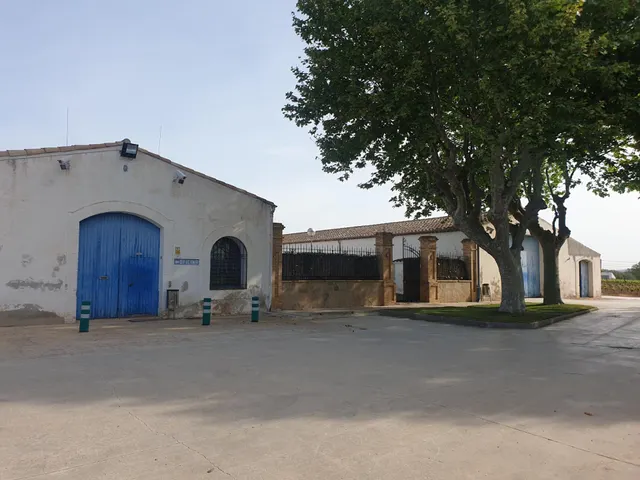 VENTA DE FINCA AGRICOLA EN ZONA DE VILAFRANCA DEL PENEDÈS DE - foto 5