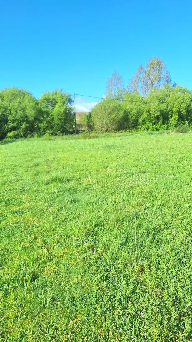 VENTA FINCA RÚSTICA SAN ANDRÉS DE MONTEJOS - foto 3