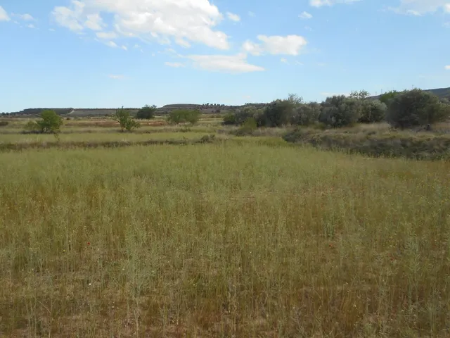 VENTA DE FINCA EN ROMADERA