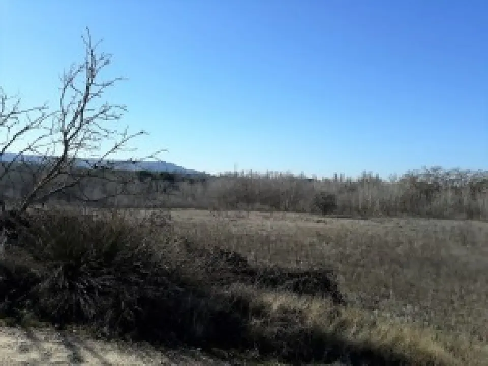 Parcela Rustica en Tudela de Duero