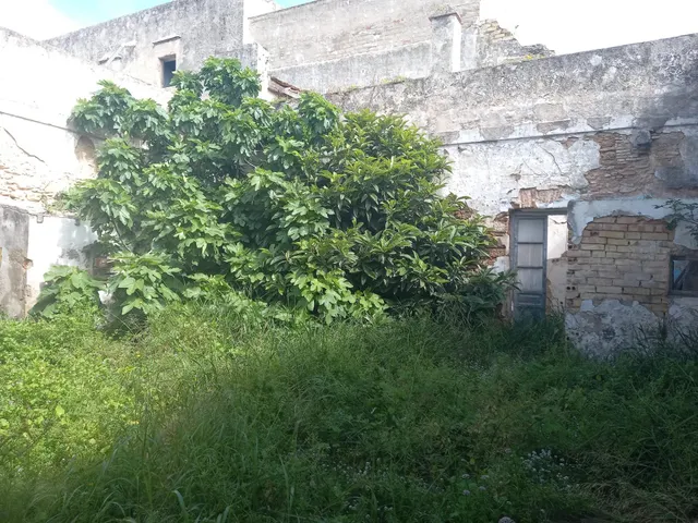 SE VENDE FINCA CENTRO DE SAN FERNANDO, CÁDIZ