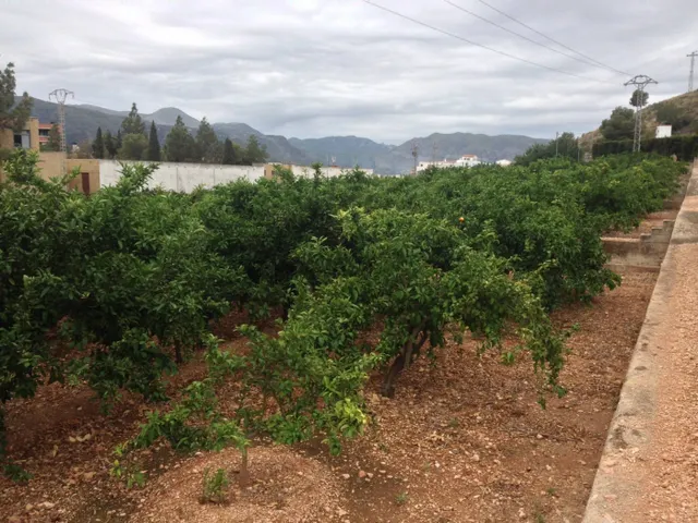 Parcela de suelo urbanizable y rustico en venta - foto 2