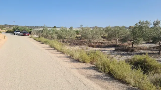 Gran Parcela Rústica de Más de 20.000 m2 en Monforte del Cid - foto 2