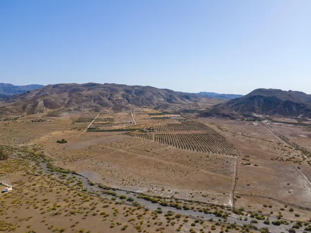 ¡Gran Oportunidad en Tabernas! Finca de 14 Hectáreas - foto 4