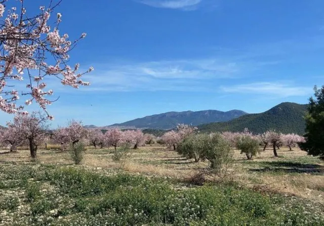 ESPECTACULAR FINCA EN VÉLEZ RUBIO - foto 2