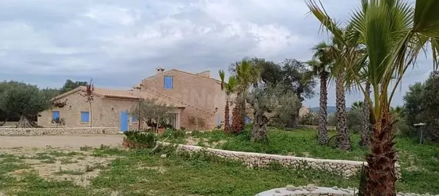 Finca única en Montuïri: 31,7 acres exclusivos y plantación  - foto 2