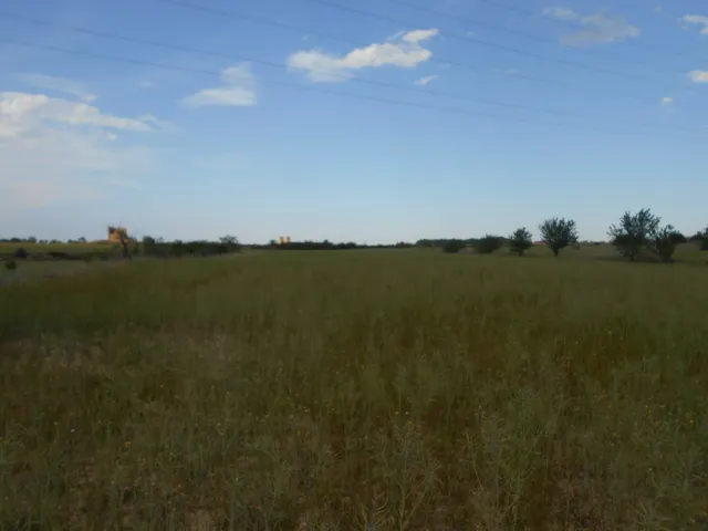 VENTA DE FINCA EN ROMADERA - foto 3