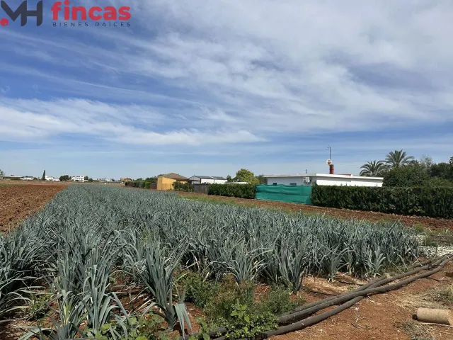 Parcela rustica junto al Gordillo 8800Mt2