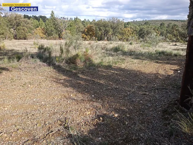 FINCA RUSTICA 4.000 m2 - foto 5