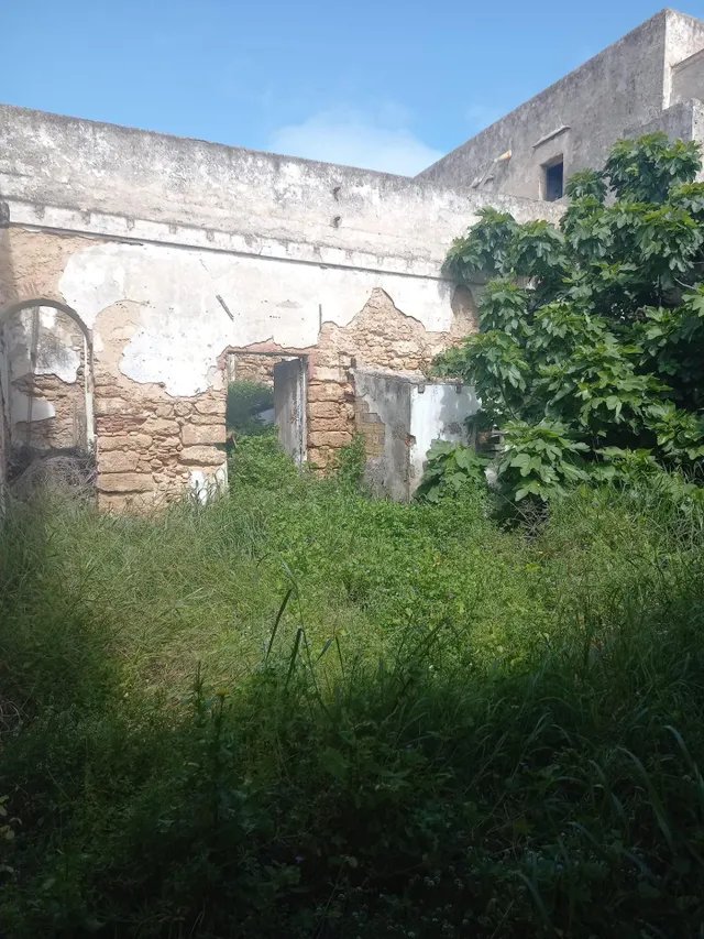SE VENDE FINCA CENTRO DE SAN FERNANDO, CÁDIZ - foto 5