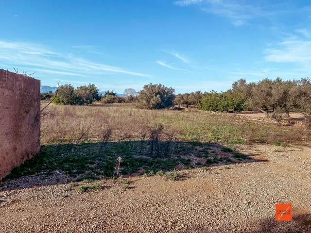 FINCA RUSTICA CON CASETA EN VENTA EN FREGINALS (TARRAGONA) - foto 4