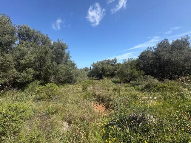 FINCA RÚSTICA EN MURO