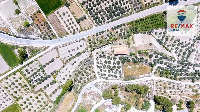 SE VENDE FINCA DE OLIVOS Y CASA EN CONSTRUCCIÓN EN CASTILLÉJ - foto 5