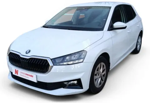 Skoda Fabia 1.0 MPI 59KW 80CV Selection