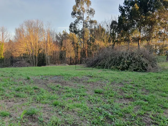 FINCA EDIFICABLE EN CAAMOUCO-ARES - foto 4