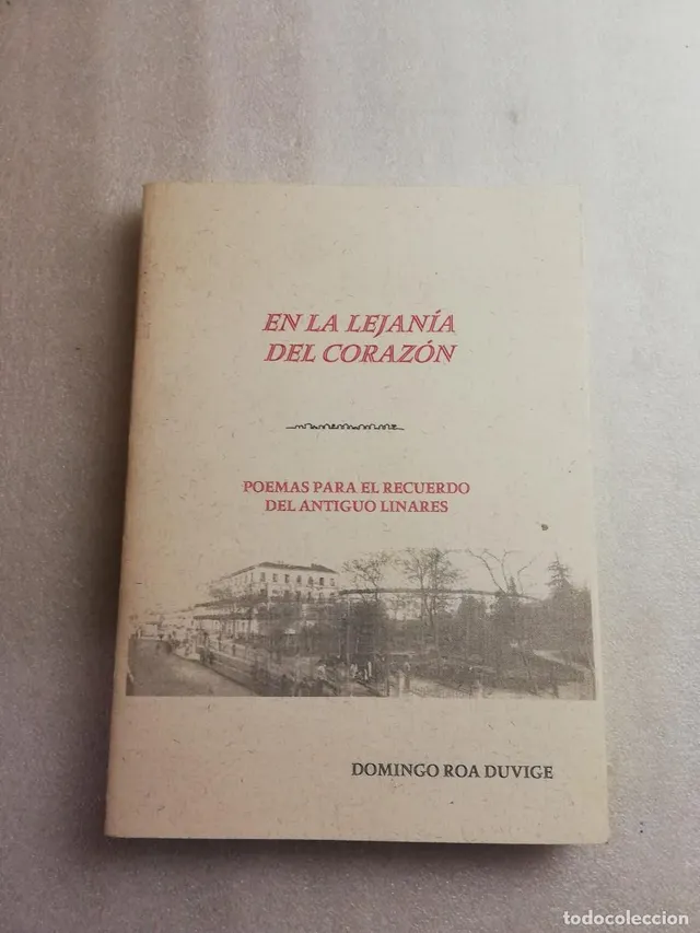 EN LA LEJANÍA DEL CORAZÓN - DOMINGO ROA DUVIGE