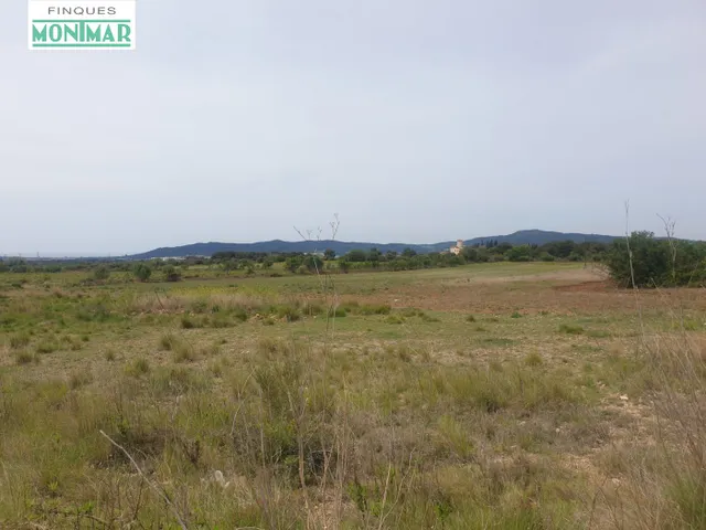 En venta Finca Rústica en Sant Jaume dels Domenys. - foto 5