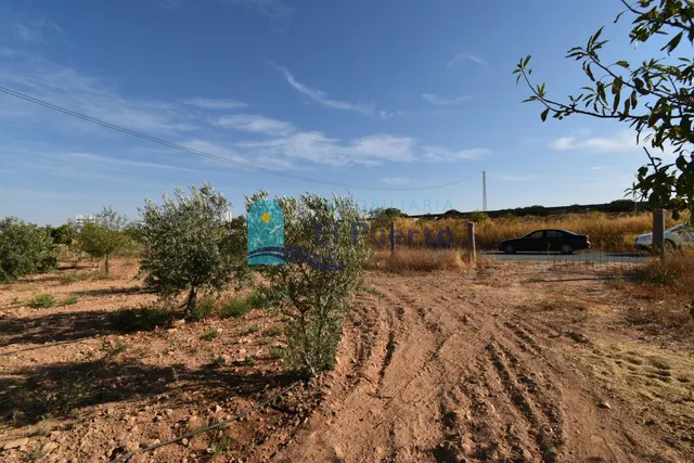 FINCA RURAL DE 15.000 M2 CON OLIVERAS EN CUEVAS DE REYLLO -  - foto 2