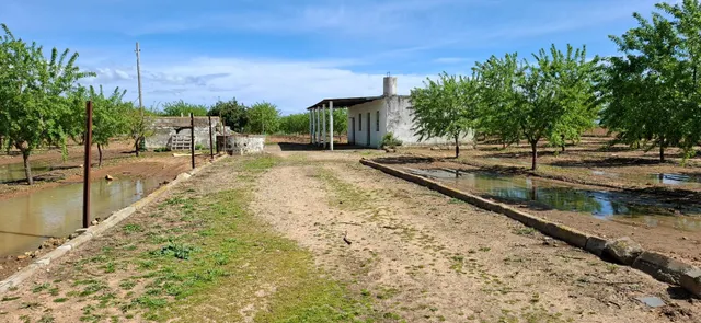 Finca Rústica en Utrera – 25.757 m2 con Almendros - foto 2