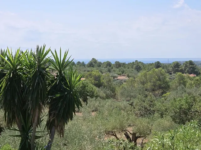 Finca rústica exclusiva con masía, piscina y vistas al mar e - foto 2