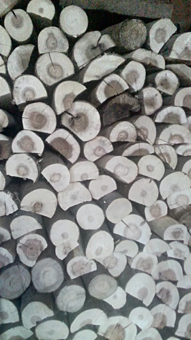 Leña semiseca para chimeneas