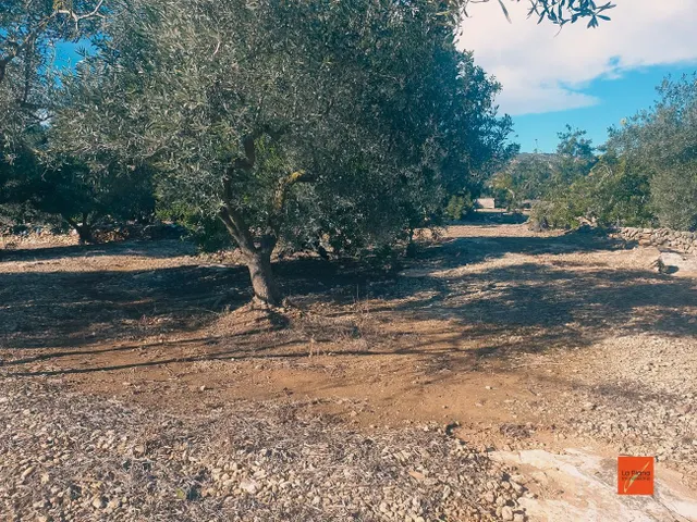 FINCA RUSTICA EN VENTA EN LA RAPITA (TARRAGONA) - foto 4