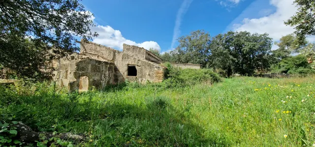 FINCA RÚSTICA EN VENTA EN MANACOR - foto 2
