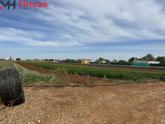 Parcela rustica junto al Gordillo 8800Mt2 - foto 5