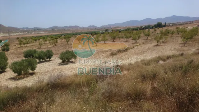 TERRENO RUSTICO A POCA DISTANCIA DE MAZARRÓN. - foto 2