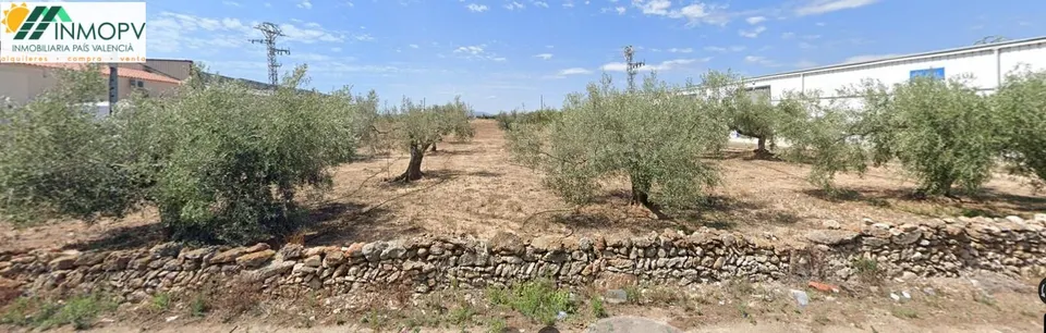 SE VENDEN 3 PARCELAS RUSTICAS. CAMI CARRETES Y CARRETERA DE ULLDECONA.