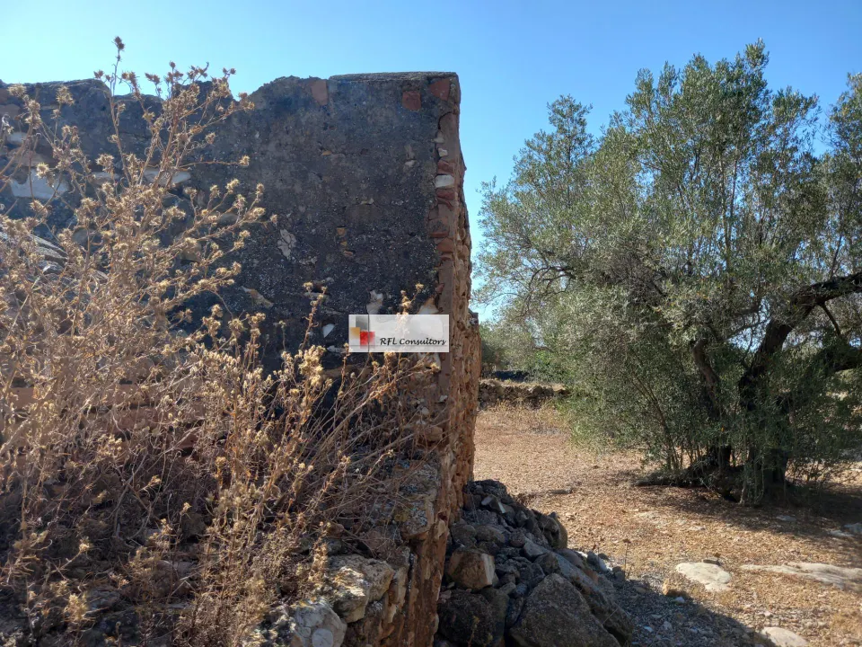 FINCA RÚSTICA DE DOS HECTAREAS Y MEDIA A LA VENTA EN L'AMPOLLA