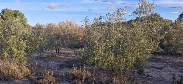 CASA CON 12.000m2 de TERRENO RUSTICO A 3 MINUTOS DE LA CIUDA - foto 5