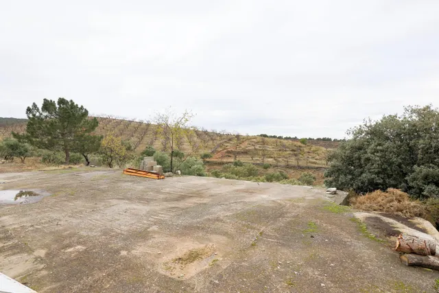 Magnífica finca de 400 olivos en Monachil - foto 4