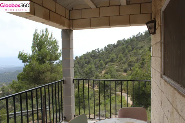 GRAN FINCA CON MASIA, ALMENDROS Y PINAR MADERABLE. - foto 4